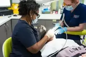 Professional Teeth Cleaning vs At-Home Care